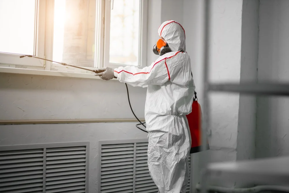 Professional mold remediation services in Roggen, CO